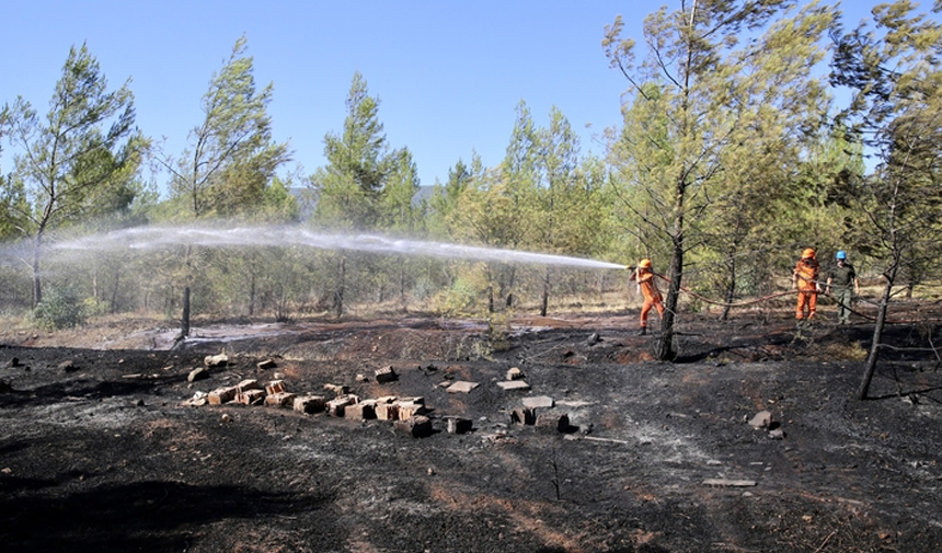 Orman Yangınları-1