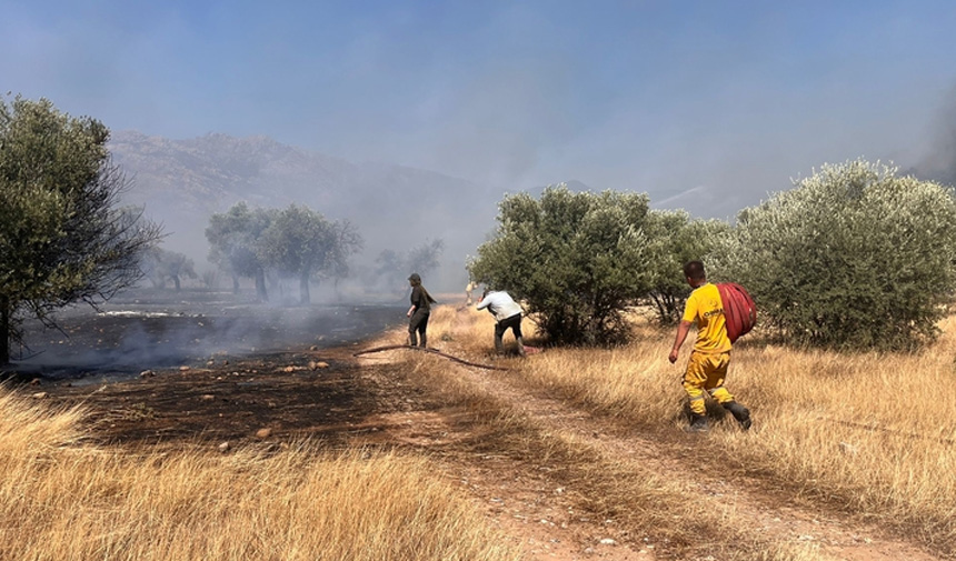 Orman Yangınları.jpg9