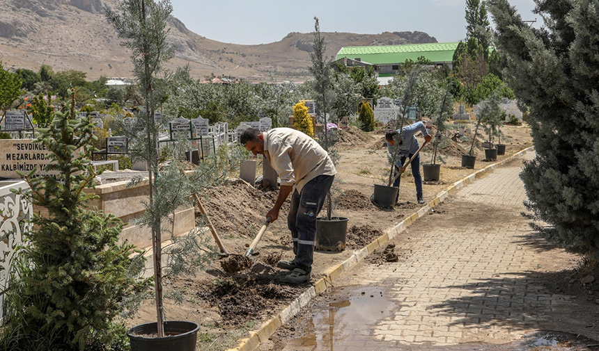 Peyzaj Çalışması-1