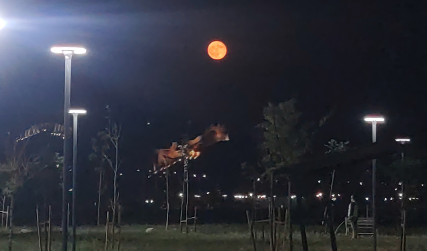 Vanda Dolunay Manzarası