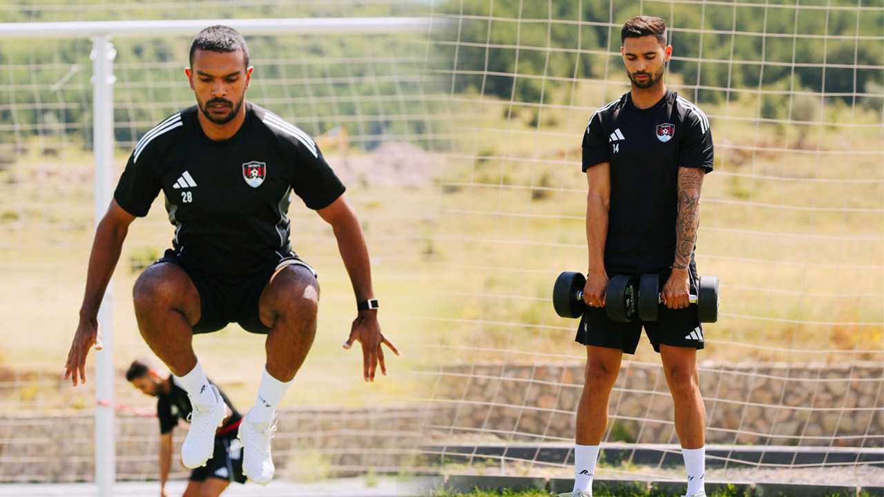 Vansporyenitransferlerikamp