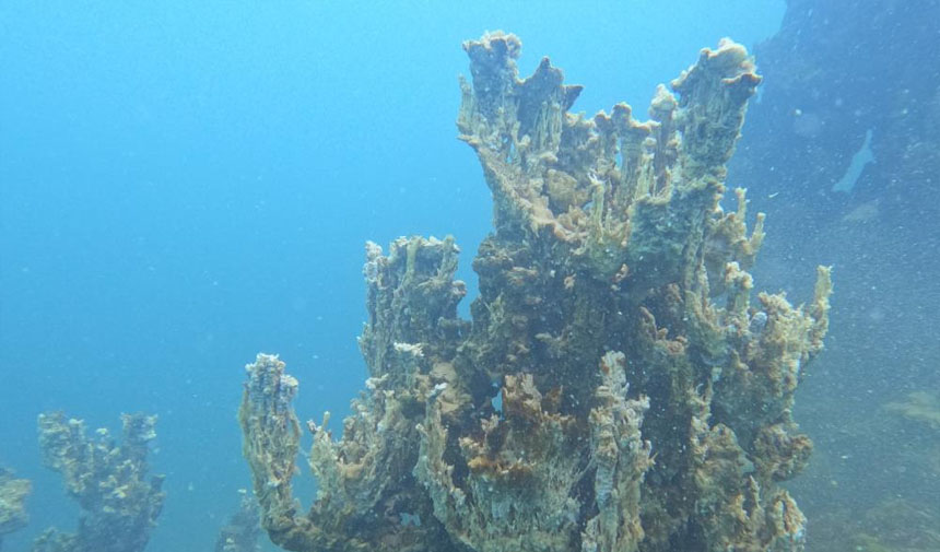 W D A F S E G R D H T F J G Y H J