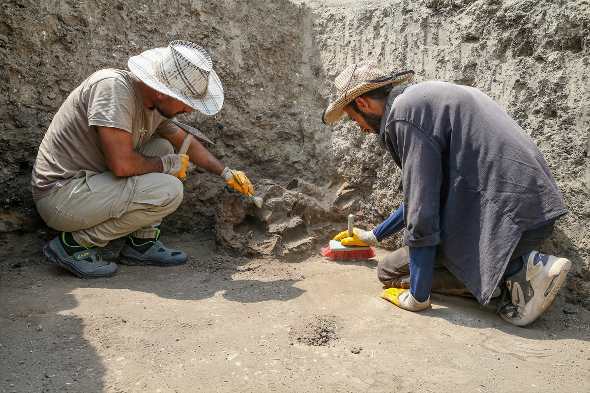 A A 20250804 38740788 38740766 E S K I V A N S E H R I K A Z I L A R I N D A O S M A N L I K I S L A S I I Z I N E R A S T L A N D I