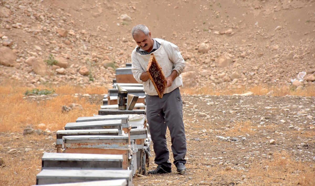 A A 20250805 38747639 38747632 V A N L I A R I C I D E V L E T D E S T E G I Y L E H E M K O V A N L A R I N I Y E N I L E D I H E M D E S A Y I L A R I N I A R T I R D I