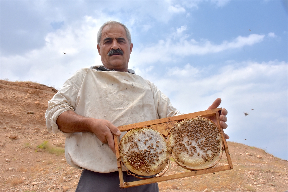 A A 20250805 38747639 38747633 V A N L I A R I C I D E V L E T D E S T E G I Y L E H E M K O V A N L A R I N I Y E N I L E D I H E M D E S A Y I L A R I N I A R T I R D I