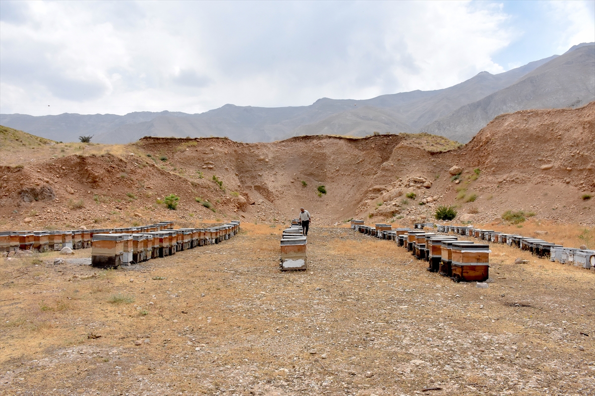 A A 20250805 38747639 38747634 V A N L I A R I C I D E V L E T D E S T E G I Y L E H E M K O V A N L A R I N I Y E N I L E D I H E M D E S A Y I L A R I N I A R T I R D I