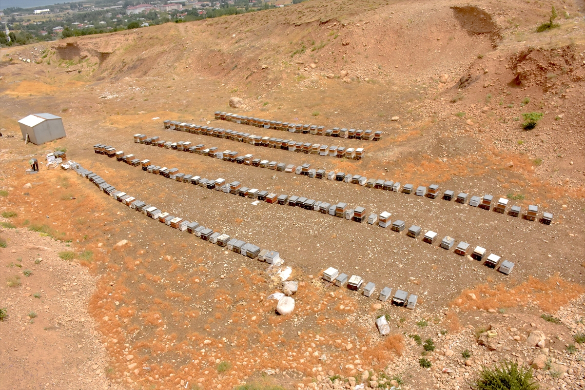 A A 20250805 38747639 38747635 V A N L I A R I C I D E V L E T D E S T E G I Y L E H E M K O V A N L A R I N I Y E N I L E D I H E M D E S A Y I L A R I N I A R T I R D I