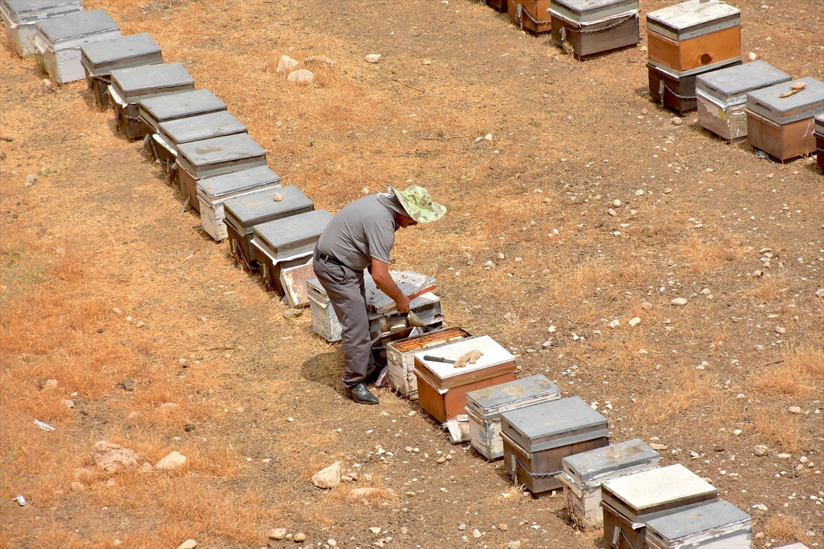 A A 20250805 38747639 38747638 V A N L I A R I C I D E V L E T D E S T E G I Y L E H E M K O V A N L A R I N I Y E N I L E D I H E M D E S A Y I L A R I N I A R T I R D I