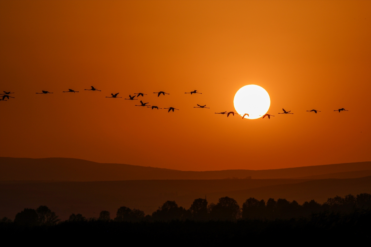 A A 20250805 38752411 38752394 V A N G O L U H A V Z A S I N D A K O N A K L A Y A N F L A M I N G O L A R G U N B A T I M I Y L A G U Z E L G O R U N T U L E R O L U S T U R D U