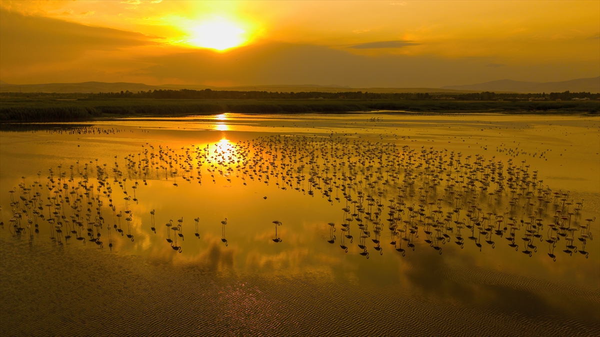 A A 20250805 38752411 38752396 V A N G O L U H A V Z A S I N D A K O N A K L A Y A N F L A M I N G O L A R G U N B A T I M I Y L A G U Z E L G O R U N T U L E R O L U S T U R D U