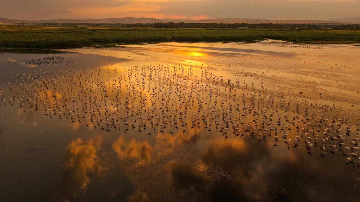 A A 20250805 38752411 38752398 V A N G O L U H A V Z A S I N D A K O N A K L A Y A N F L A M I N G O L A R G U N B A T I M I Y L A G U Z E L G O R U N T U L E R O L U S T U R D U