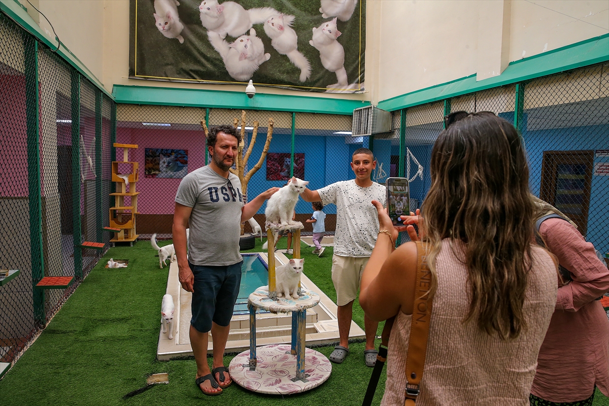 A A 20250807 38764784 38764747 V A N K E D I L E R I N E K L I M A L I V E H A V U Z L U O D A K O N F O R U