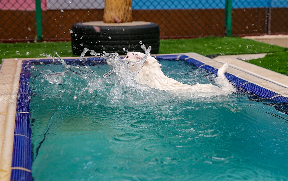 A A 20250807 38764784 38764773 V A N K E D I L E R I N E K L I M A L I V E H A V U Z L U O D A K O N F O R U