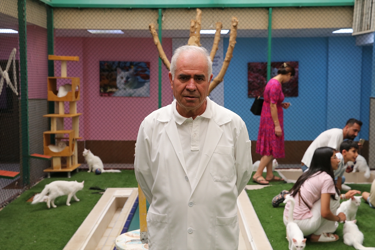 A A 20250807 38764784 38764781 V A N K E D I L E R I N E K L I M A L I V E H A V U Z L U O D A K O N F O R U