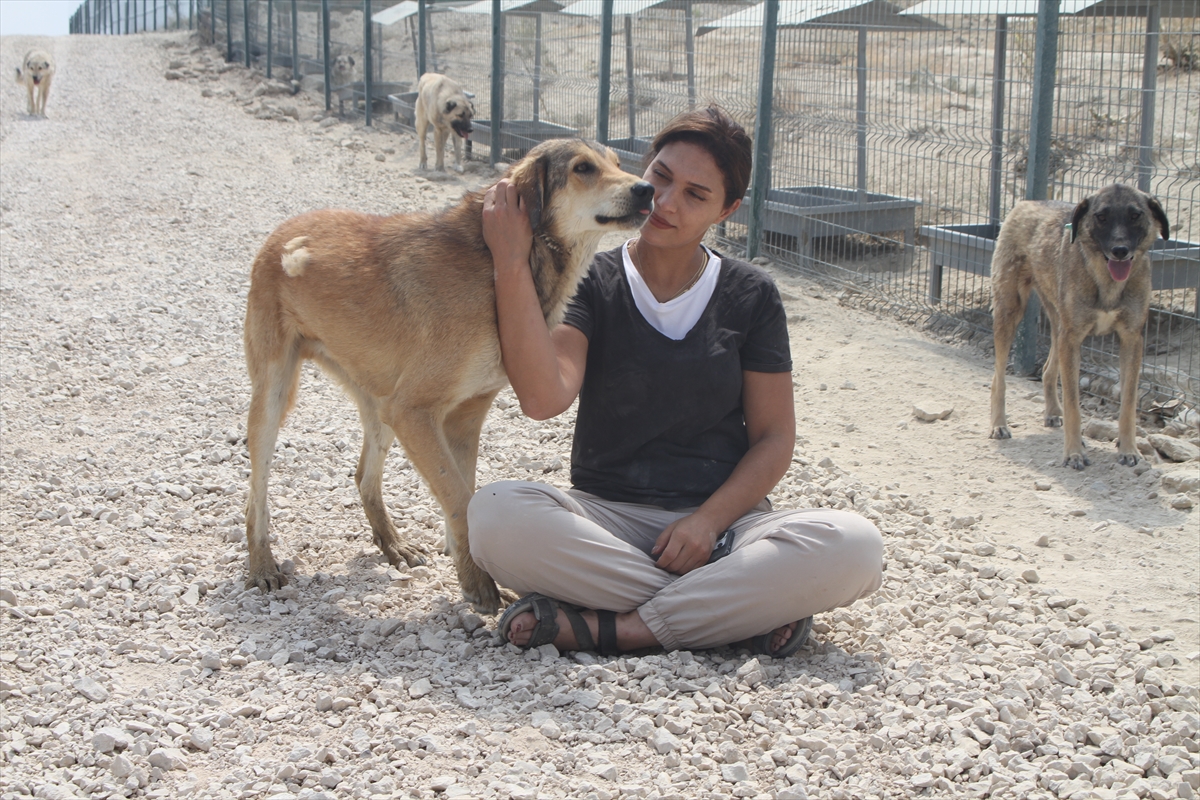 A A 20250807 38765022 38765019 S A H I P S I Z K O P E K L E R I N B A R I N D I R I L D I G I D O G A L Y A S A M A L A N I 2 B I N F I D A N L A Y E S I L L E N D I R I L D I