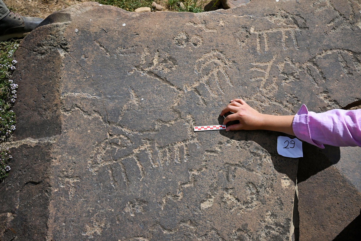 A A 20250808 38774235 38774232 V A N D A 3 B I N R A K I M L I Y A Y L A D A K I K A Y A R E S I M L E R I T E S C I L L E N E R E K K O R U N A C A K