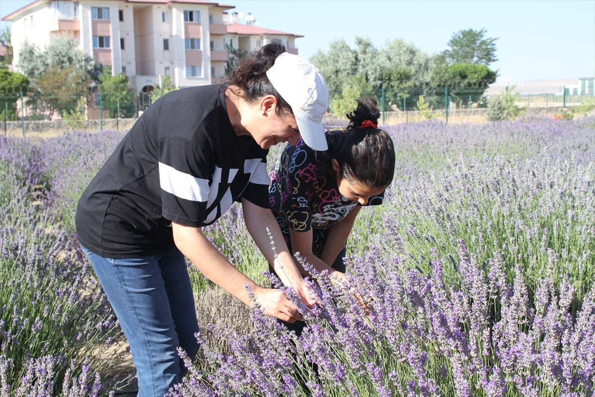 A A 20250808 38780246 38780242 V A N D A A K A D E M I S Y E N L E R I N Y E T I S T I R D I G I T I B B I V E A R O M A T I K B I T K I L E R I N H A S A D I Y A P I L D I