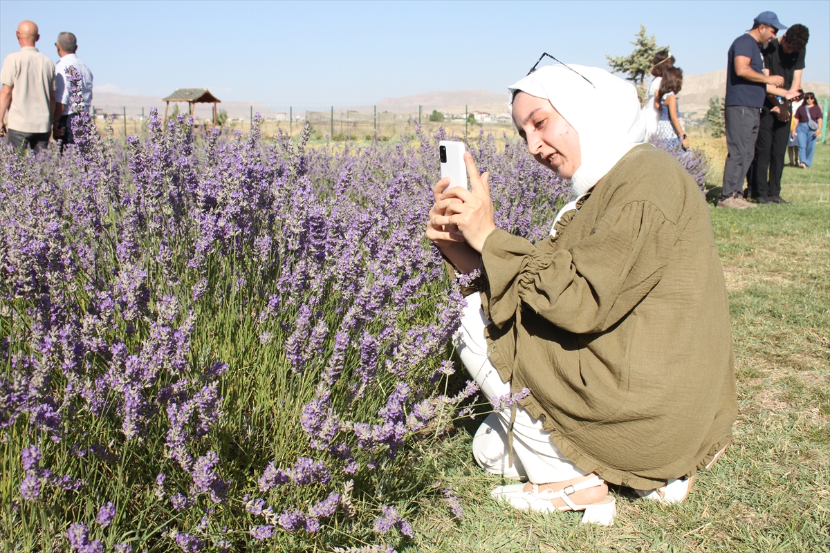 A A 20250808 38780246 38780243 V A N D A A K A D E M I S Y E N L E R I N Y E T I S T I R D I G I T I B B I V E A R O M A T I K B I T K I L E R I N H A S A D I Y A P I L D I