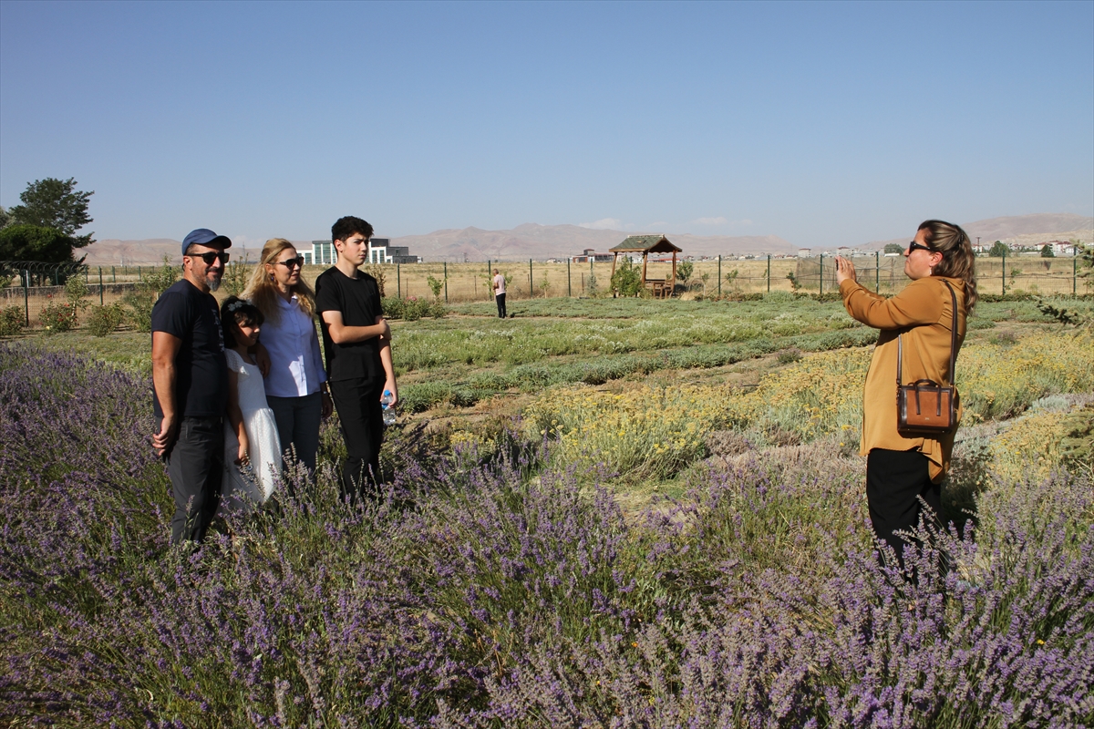 A A 20250808 38780246 38780244 V A N D A A K A D E M I S Y E N L E R I N Y E T I S T I R D I G I T I B B I V E A R O M A T I K B I T K I L E R I N H A S A D I Y A P I L D I