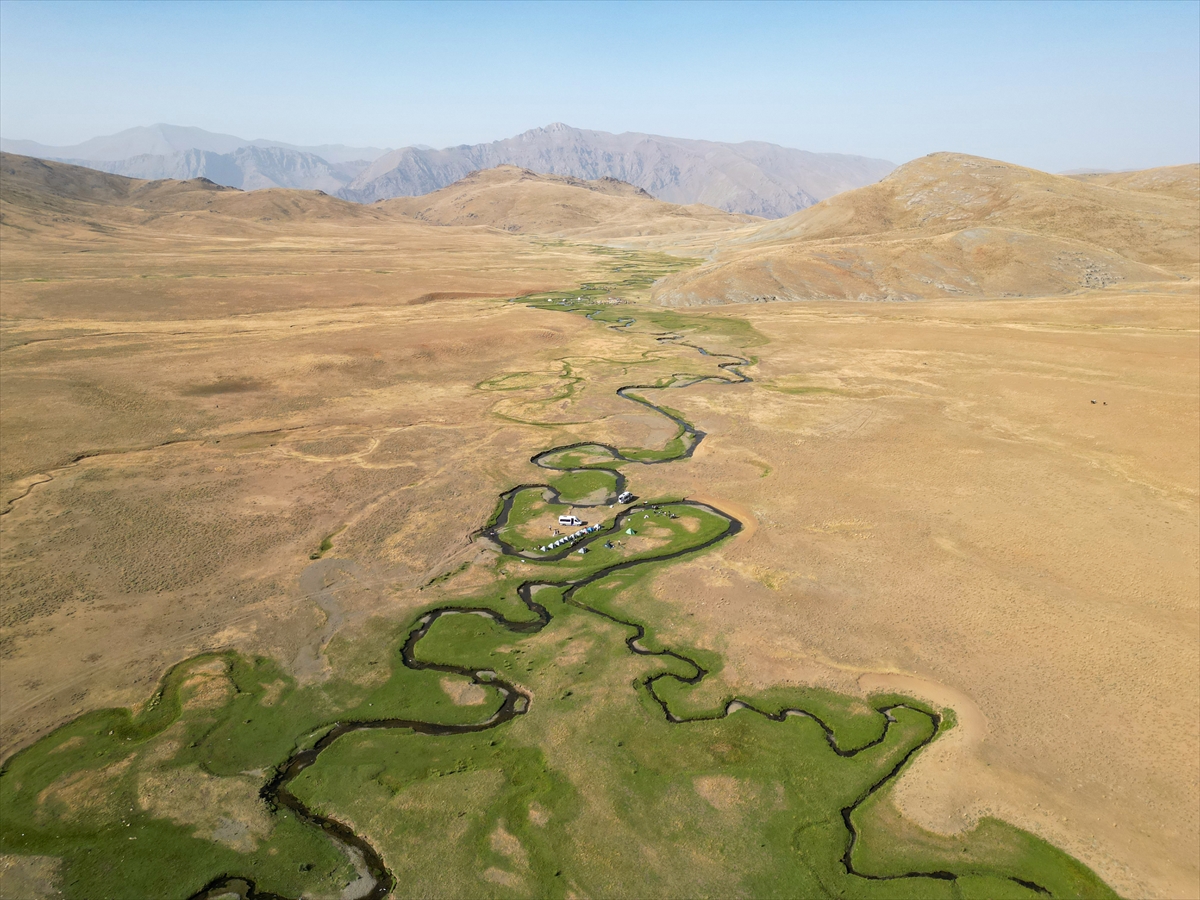 A A 20250818 38857627 38857611 D O G A S E V E R L E R A L A N D E S T Y A Y L A S I N D A K I M E N D E R E S L E R I N A R A S I N D A K A M P K E Y F I Y A S I Y O R