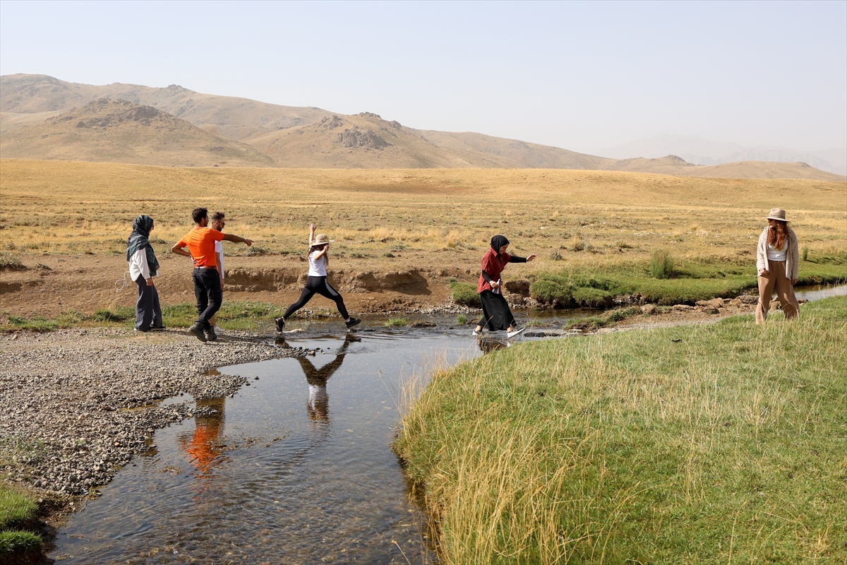 A A 20250818 38857627 38857612 D O G A S E V E R L E R A L A N D E S T Y A Y L A S I N D A K I M E N D E R E S L E R I N A R A S I N D A K A M P K E Y F I Y A S I Y O R