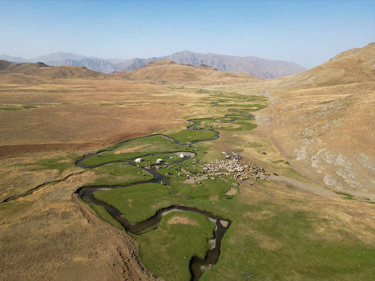 A A 20250818 38857627 38857621 D O G A S E V E R L E R A L A N D E S T Y A Y L A S I N D A K I M E N D E R E S L E R I N A R A S I N D A K A M P K E Y F I Y A S I Y O R