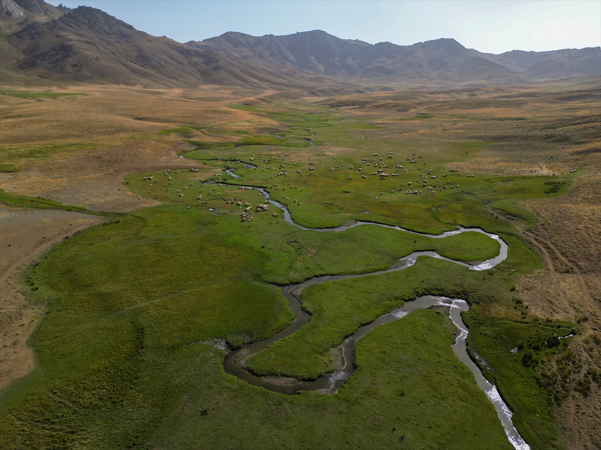 A A 20250818 38857627 38857622 D O G A S E V E R L E R A L A N D E S T Y A Y L A S I N D A K I M E N D E R E S L E R I N A R A S I N D A K A M P K E Y F I Y A S I Y O R