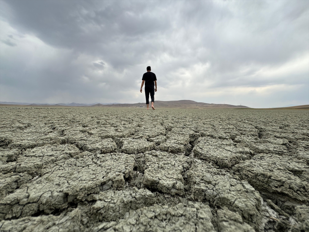 A A 20250823 38900069 38900066 Y E T E R S I Z Y A G I S L A R V E A S I R I B U H A R L A S M A V A N G O L U H A V Z A S I N I O L U M S U Z E T K I L E D I