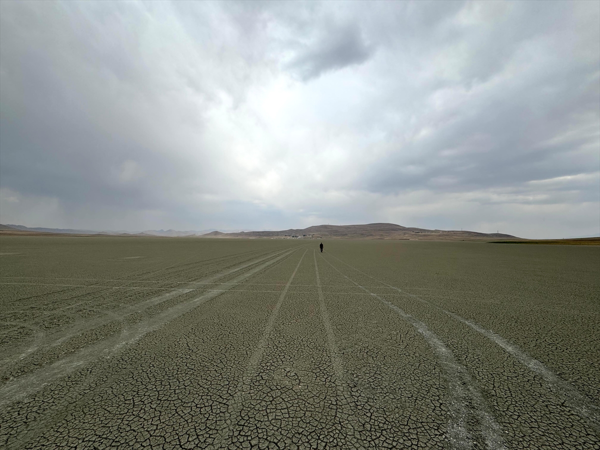 A A 20250823 38900069 38900067 Y E T E R S I Z Y A G I S L A R V E A S I R I B U H A R L A S M A V A N G O L U H A V Z A S I N I O L U M S U Z E T K I L E D I