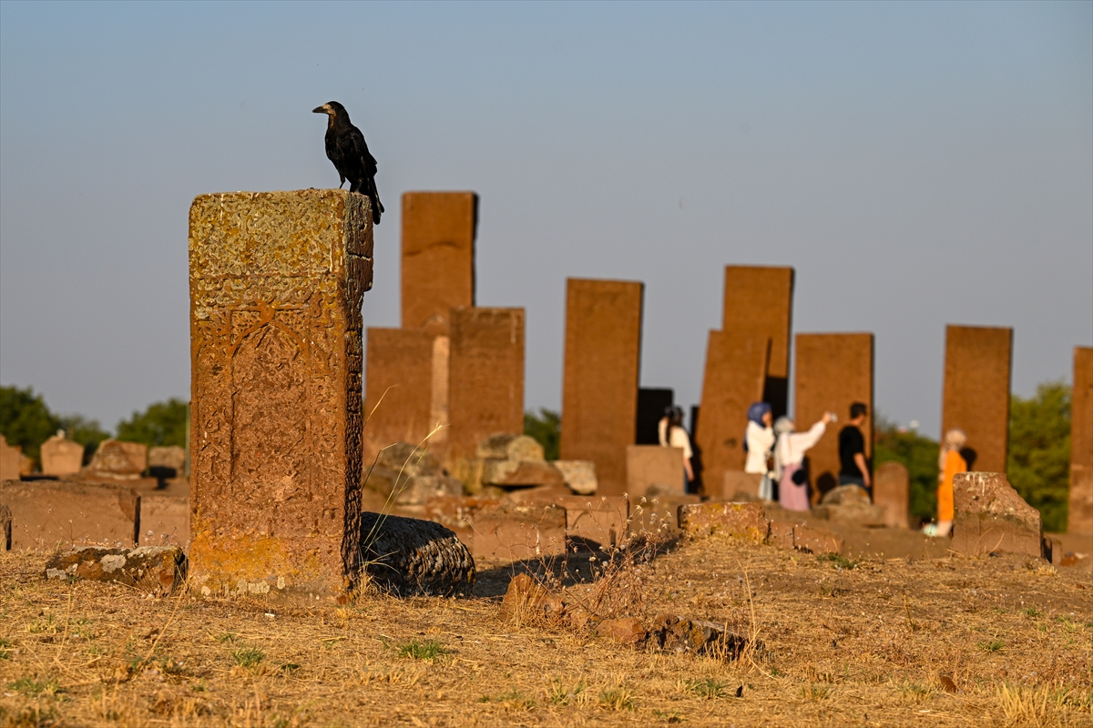 A A 20250825 38917430 38917400 S E L C U K L U M E Y D A N M E Z A R L I G I N D A E C D A D A V E F A Z I Y A R E T I