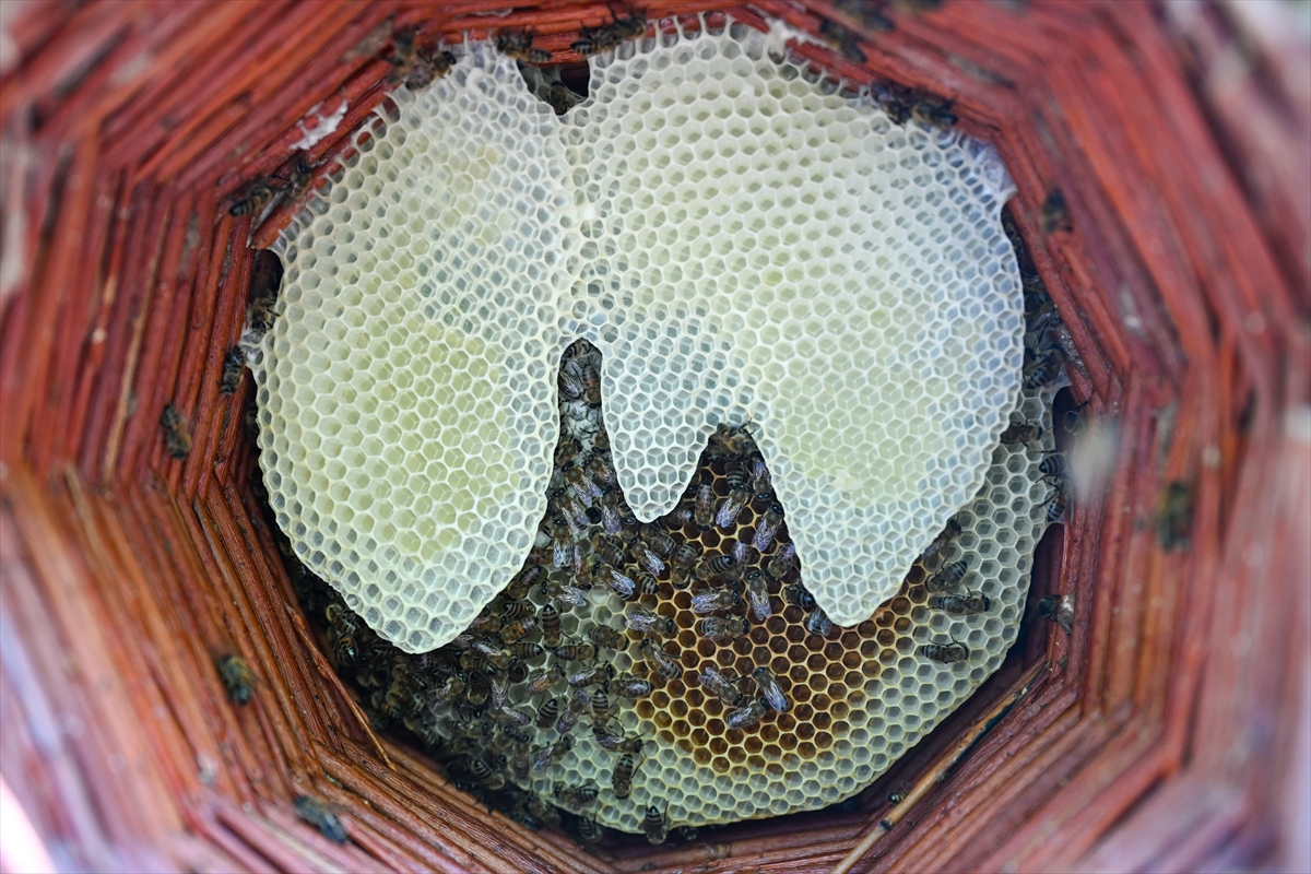 A A 20250830 38964044 38964031 K A R A K O V A N B A L U R E T I C I L E R I H A S A D A Y U K S E K V E R I M L E B A S L A D I