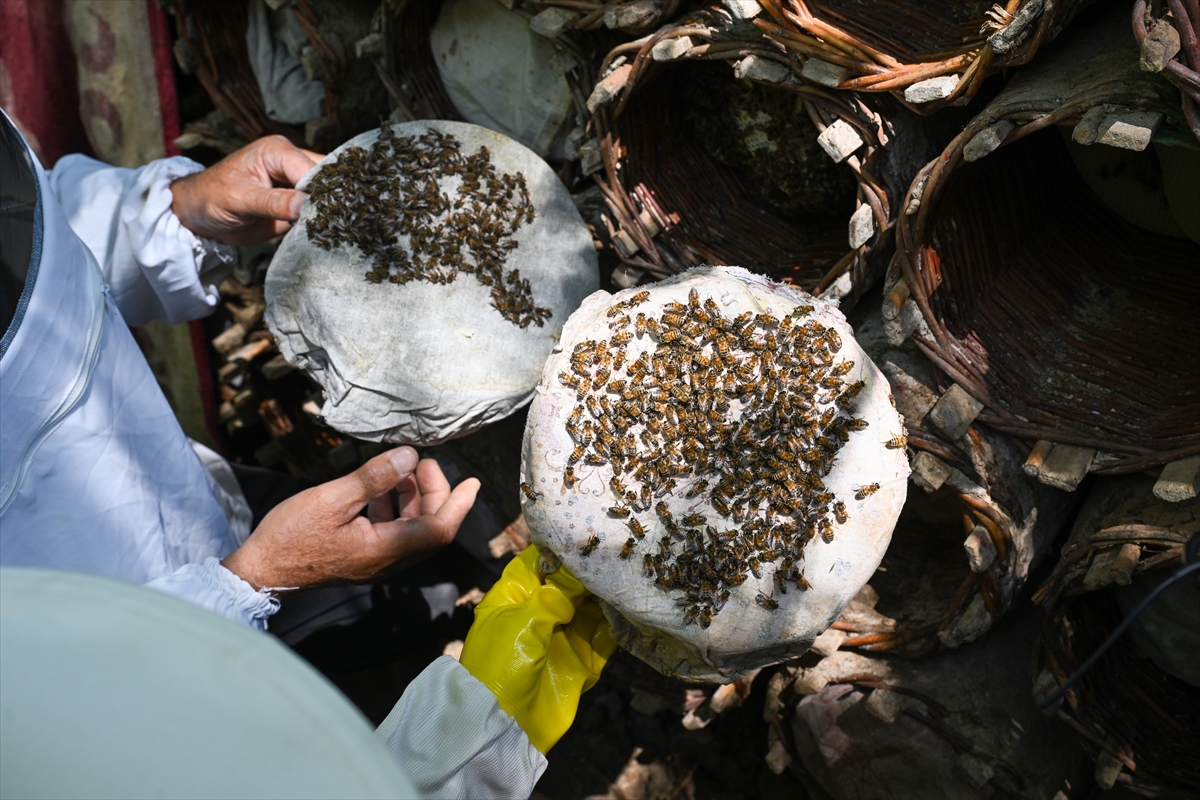 A A 20250830 38964044 38964034 K A R A K O V A N B A L U R E T I C I L E R I H A S A D A Y U K S E K V E R I M L E B A S L A D I