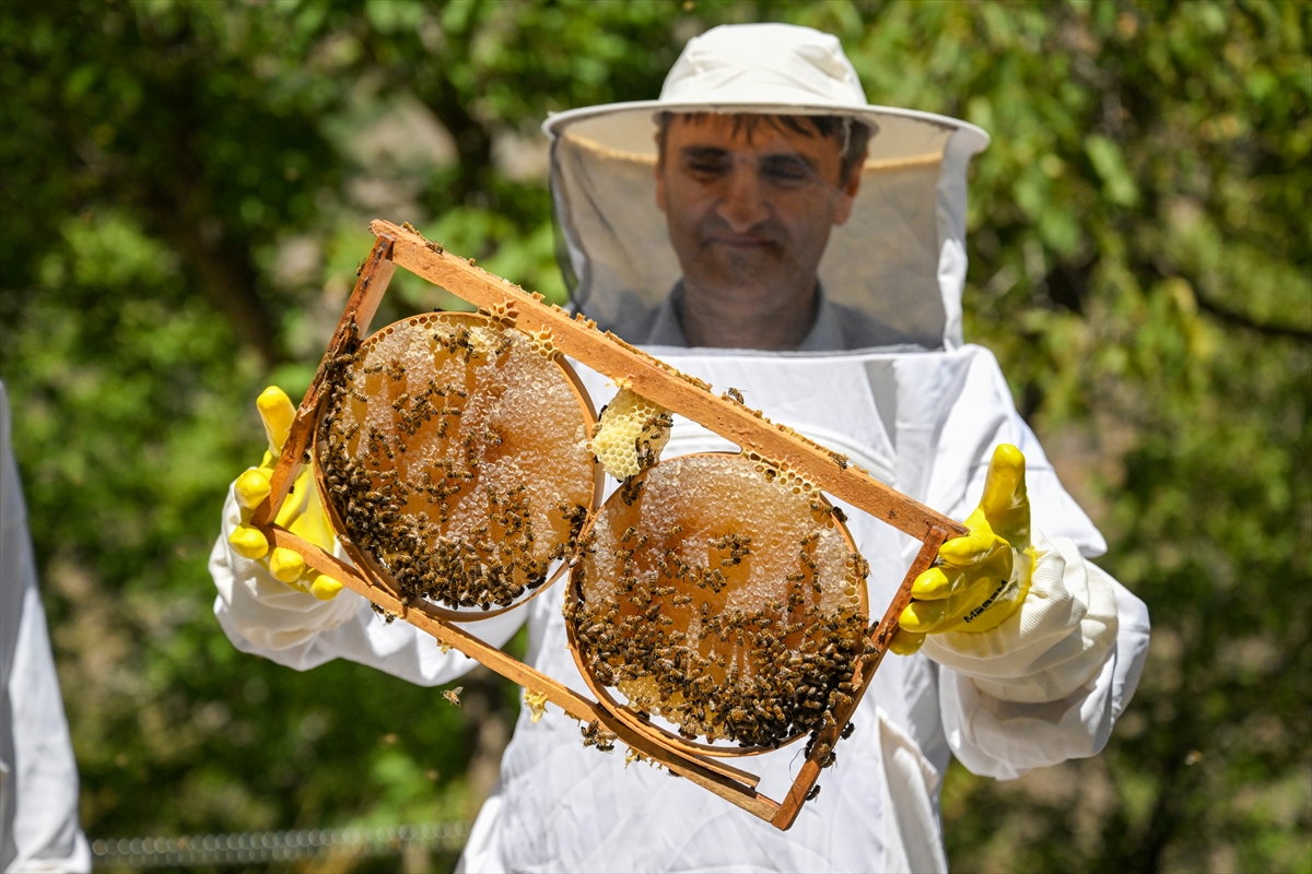 A A 20250830 38964044 38964041 K A R A K O V A N B A L U R E T I C I L E R I H A S A D A Y U K S E K V E R I M L E B A S L A D I