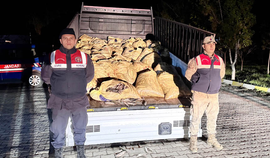 Başlıksız Dwafesgdrhtfjgykhjk