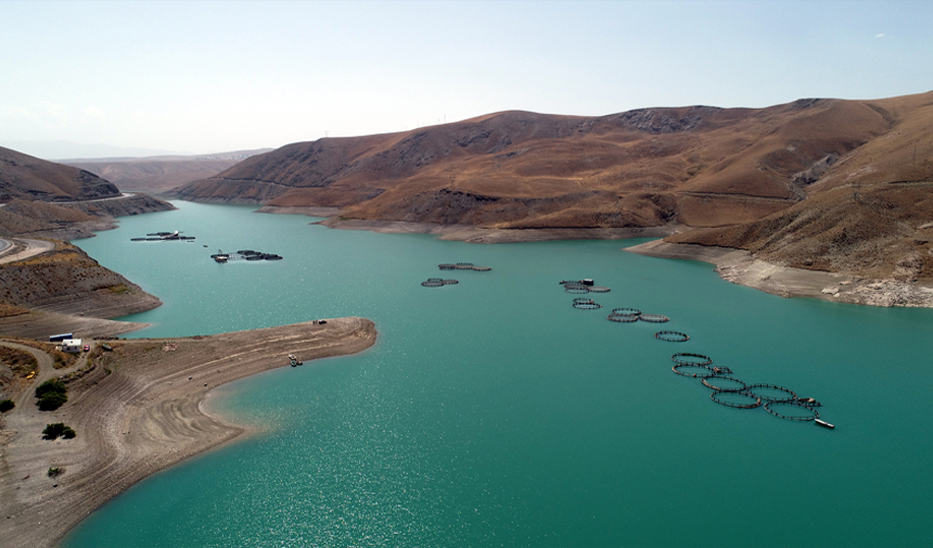 D W A F S E G R T H G Y J H U J