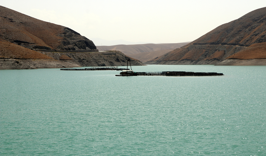 F E S G R D H T F J G Y K U H L I J H