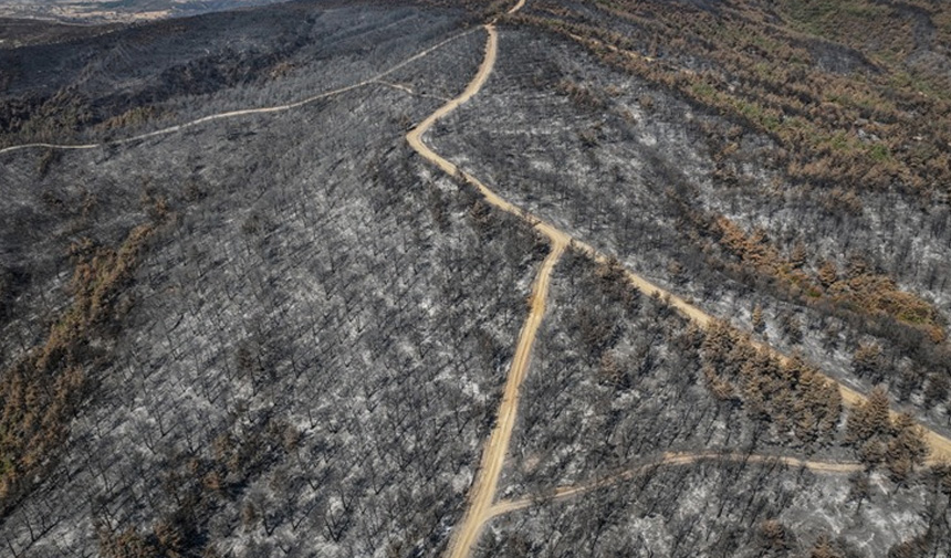 Gelibolu Yangın.jpg5