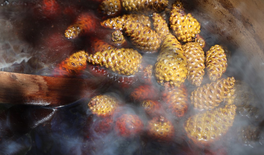 Kozalak Şurubu.jpg2