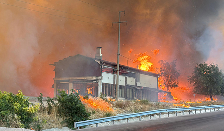 Orman Yangını.jpg2-3