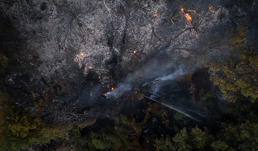 Orman Yangını.jpg8
