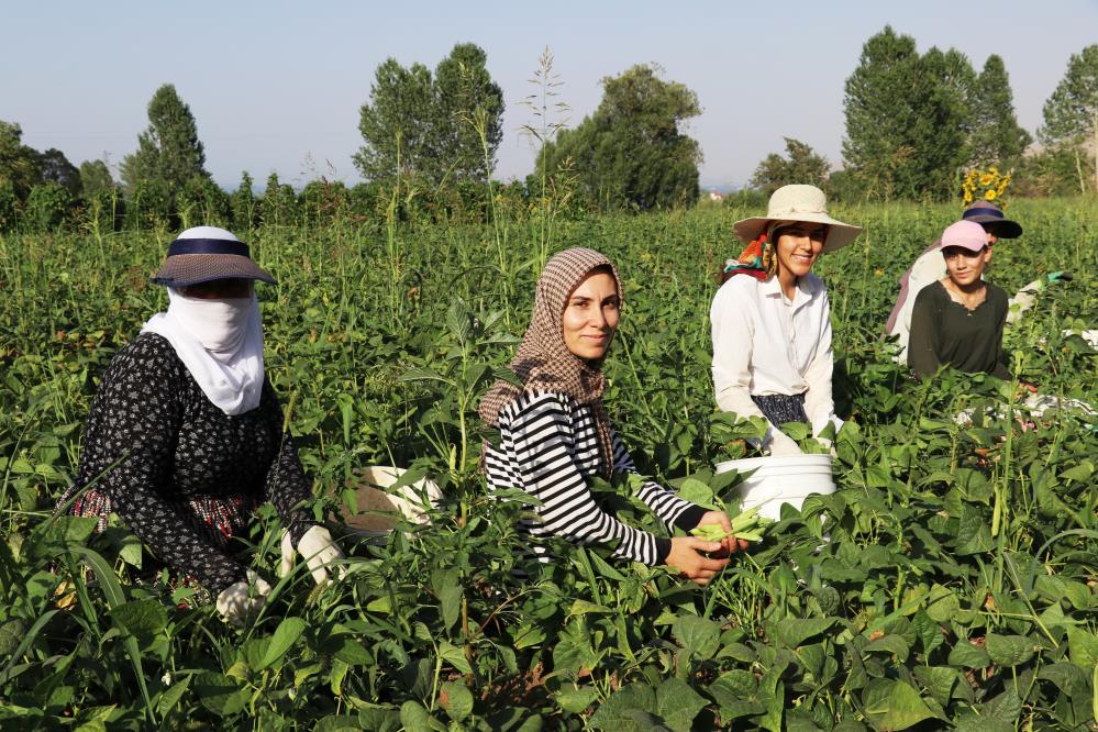 Vanlikadinlarinzorlumesaisi2