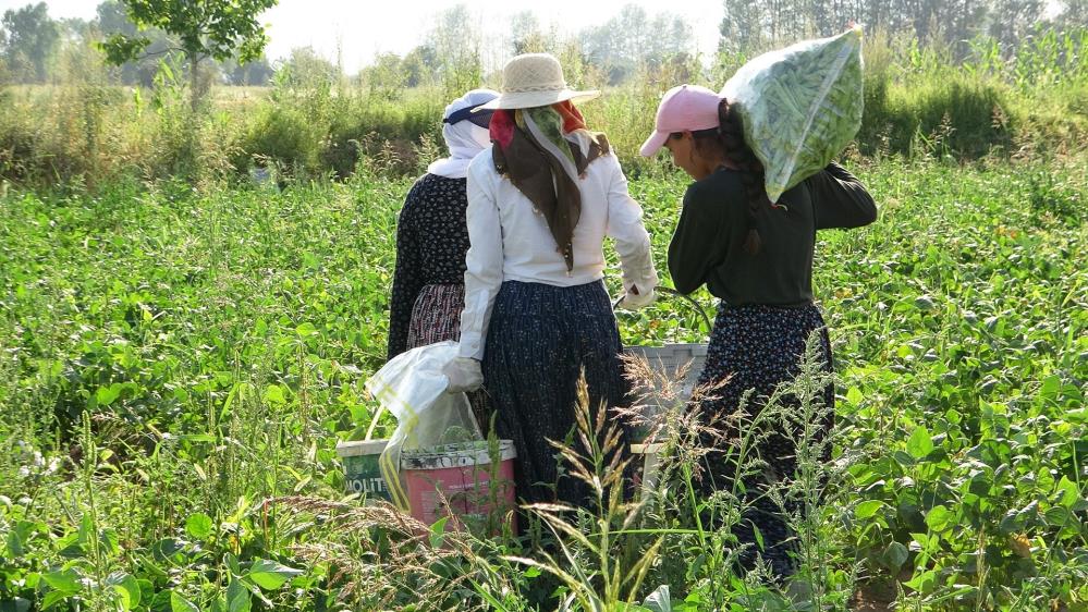 Vanlikadinlarinzorlumesaisi4