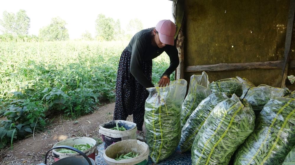 Vanlikadinlarinzorlumesaisi5