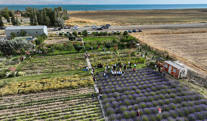 W D A F E S G R D H F G J H J K