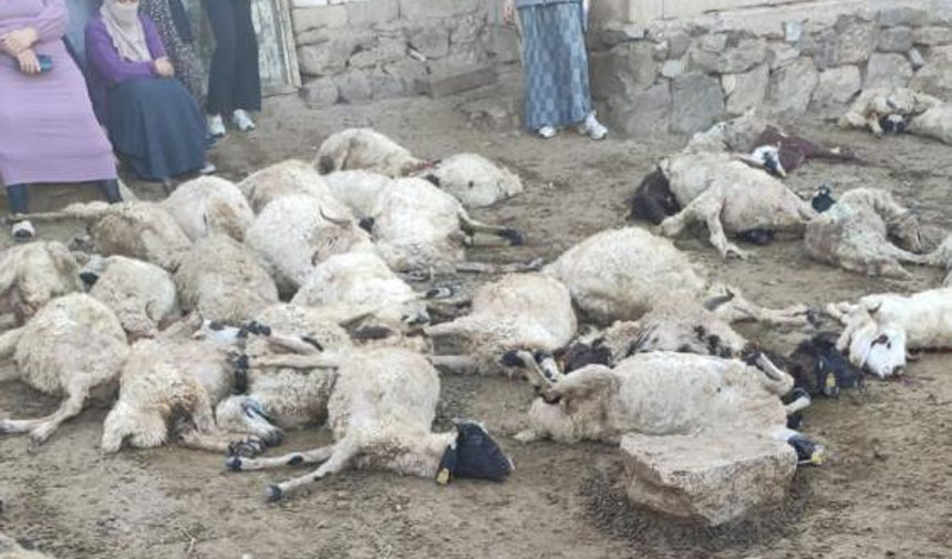 W D A F S E G D R H F T J G Y H K U J K