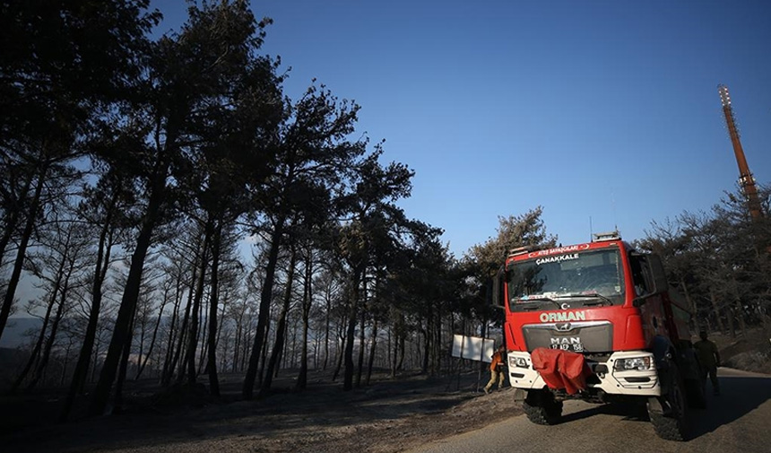 Yangın Çanakkale.jpg6