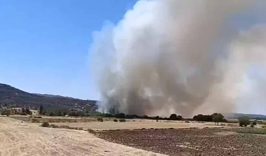 Yangın Diyarbakır.jpg3