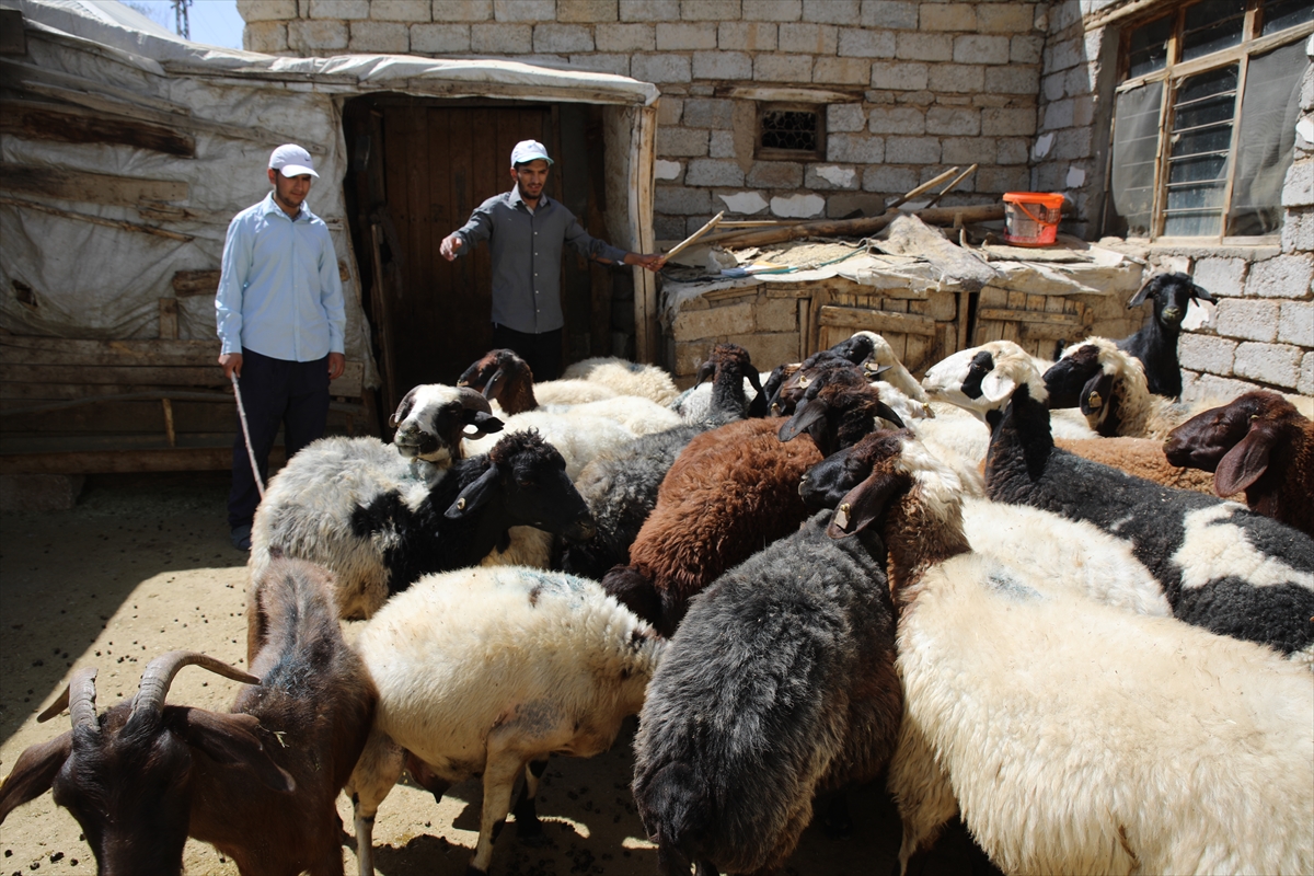 A A 20250901 38986292 38986286 V A N L I 3 K A R D E S O R T A K M A S A D A D E R S C A L I S A R A K U N I V E R S I T E H A Y A L L E R I N I G E R C E K L E S T I R D I