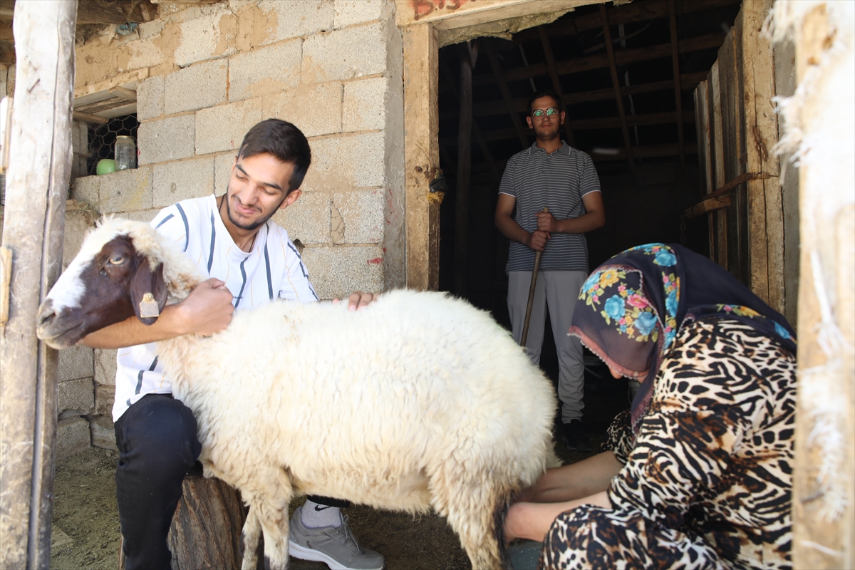 A A 20250901 38986292 38986291 V A N L I 3 K A R D E S O R T A K M A S A D A D E R S C A L I S A R A K U N I V E R S I T E H A Y A L L E R I N I G E R C E K L E S T I R D I