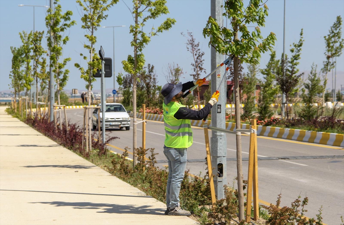 A A 20250901 38990336 38990332 V A N B U Y U K S E H I R B E L E D I Y E S I S A H I L Y O L U N D A B A K I M V E P E Y Z A J C A L I S M A S I Y A P I Y O R